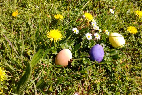 Eieiei, what do I see there? - Dyeing eggs in the asper mill