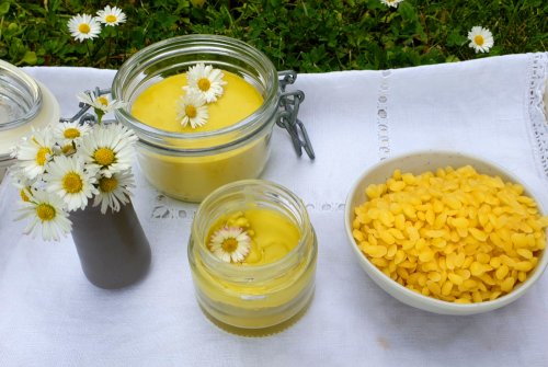 Daisy Ointment with Organic Beeswax