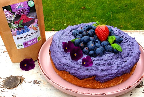 Blueberry cheesecake with blueberry powder