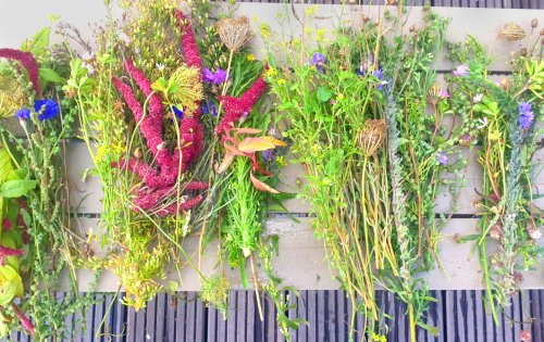 Smoking bundles with summer herbs & wildflowers