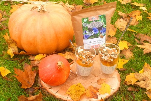 Herbstliche Joghurtcreme mit Kürbismus & Chia