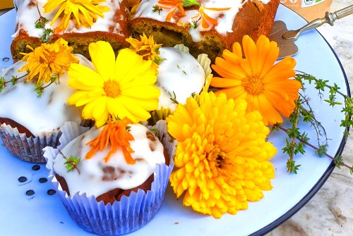 Avocado lemon cake with barley grass powder