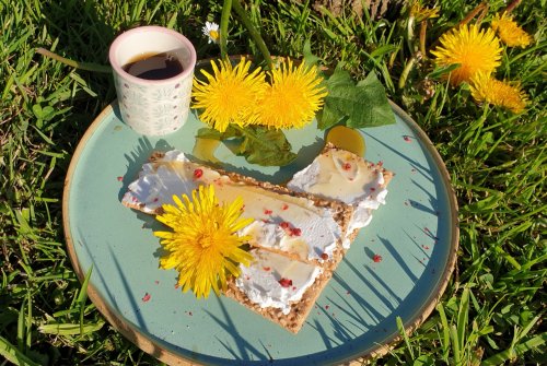 Dandelion flower syrup - homemade - tasty & healthy