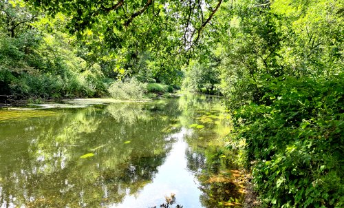 The renaturation of the Niers and other near-natural spaces between Aspermühle and Kessel part 2
