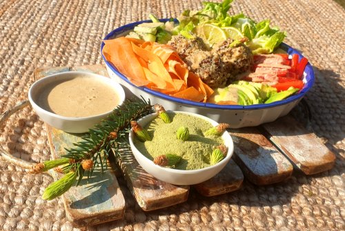 Raw quinoa bowl with spruce sprout dressing