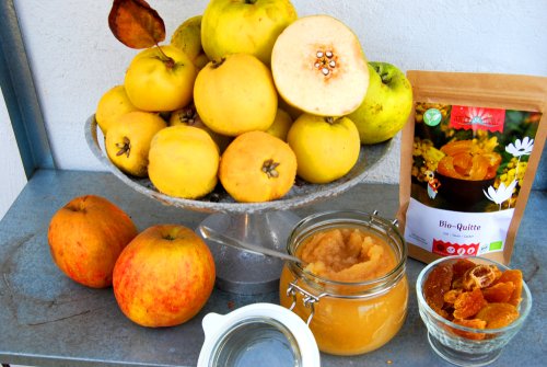 Quince applesauce with maple syrup & cinnamon