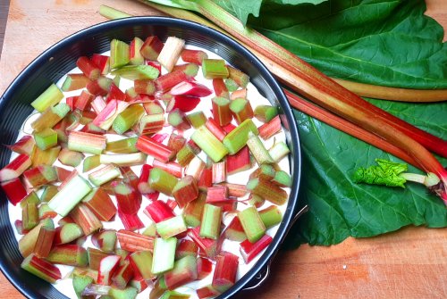 Rhubarb Cheesecake with Macastreusel