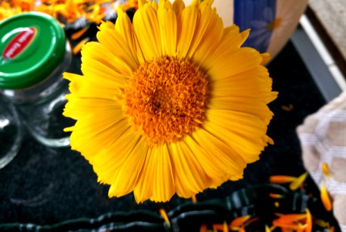 Calendula ointment from oil macerate with aspermill beeswax