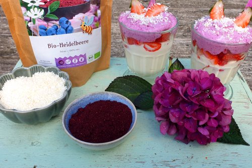 Gelaagd dessert met bosbessenpoeder & kokos