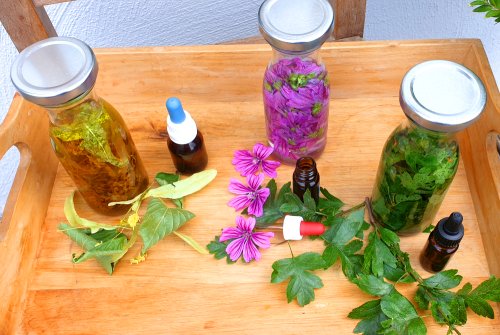 Summer wild mother tinctures - lime blossom - wild mallow - hawthorn