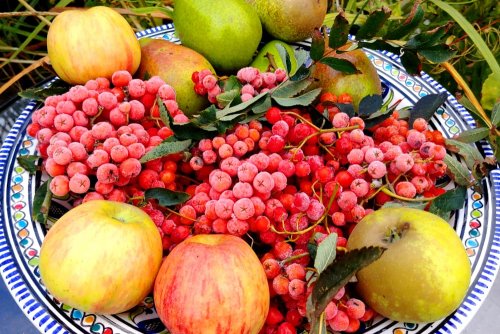 Rowan berry chutney with goji berries