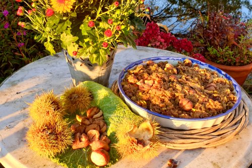 Savoy cabbage and chestnut vegetables on sweet potatoes