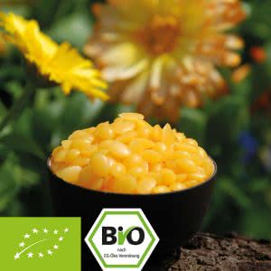 Bienenwachs (Bio)