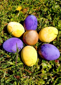 Colored eggs