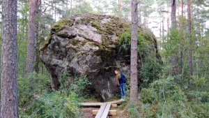 Riesen-Findling im Wald