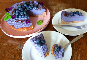 Pieces of blueberry cake