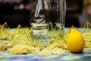 Elderflowers and lemon