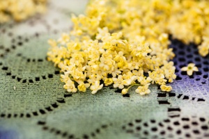 Elderflowers