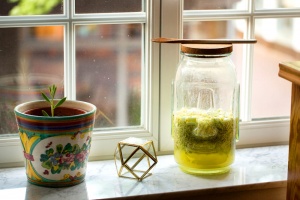 Elderflower syrup