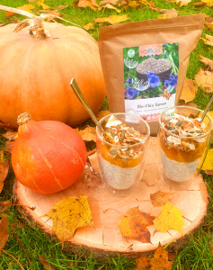 Smoothie „Herbstliche Joghurtcreme mit Kürbismus & Chia