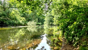 An der Niers