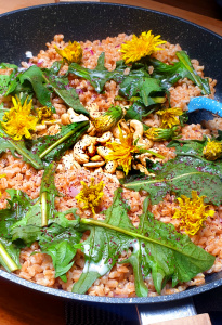 Dandelion spelt pan