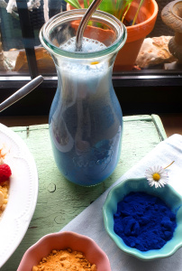 Smoothie „Moonmilk mit blauem Spiruluna ;-) & Yogidatteln