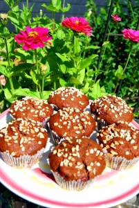 Muffins met cacao