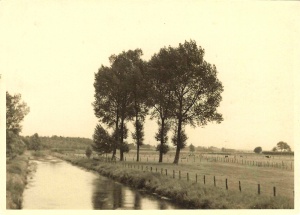 Niers nach 1932