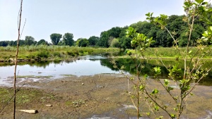 Renaturierter Flußlauf