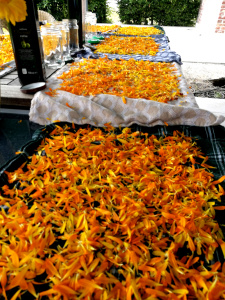 Marigold petals