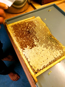 Honeycomb