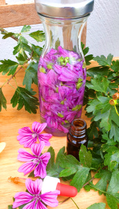 Mallow tincture