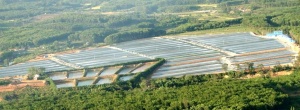 Spirulina Farm