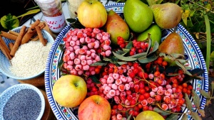 Vogelbeeren in Schale