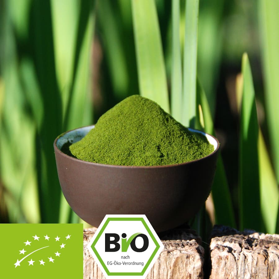 Buy the best mixtures of several sap grasses