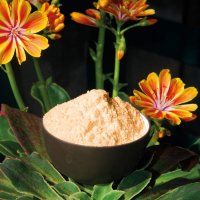 Acerola powder with 17% natural vitamin C. 
