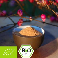 Organic Acerola powder with 21% natural vitamin C. 
