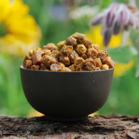 Perga - Bienenbrot 