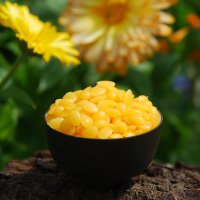 Beeswax Pastilles - 100% pure 