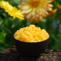 Bienenwachs Pastillen - 100% rein 