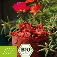 Bio Goji Beeren - Premiumqualität - kbA Bild 1