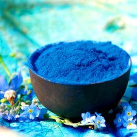 Spirulina Extrakt Pulver - Phycocyanin - blaues Spirulina 