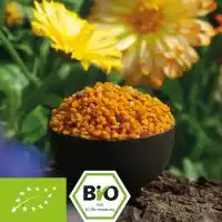 Bio Blütenpollen - Premiumqualität - kbA Bild 1