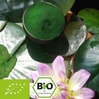 Bio Chlorella pyrenoidosa - reines Pulver - ohne Zusätze 