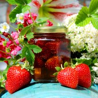 Akazien-Honig mit Erdbeeren 