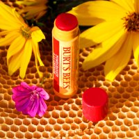 Burt's Bees Lippenpflegestift mit Bienenwachs & Granatapfelgeschmack 