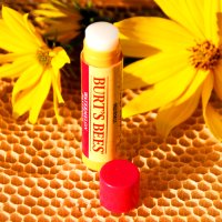 Burt's Bees Lippenpflegestift mit Bienenwachs & Wassermelonengeschmack 