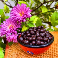 Perga bee bread in bitter dark chocolate 