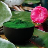 Spirulina platensis poeder - premium kwaliteit beeld 1